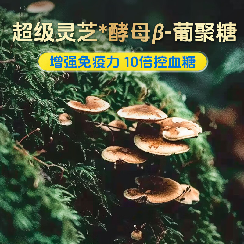 商品图片 6