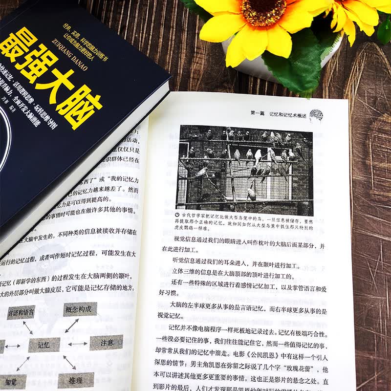 最强大脑+超级记忆术详情图