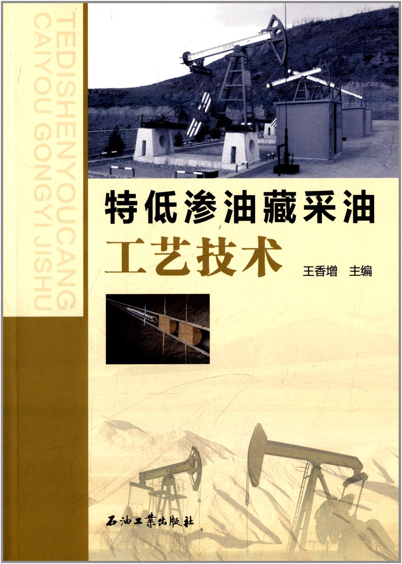 特低渗油藏采油工艺技术 科学与自然 书籍