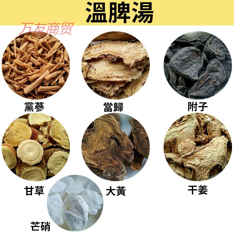 有仁堂 温脾汤 攻/下/寒/积/ /温/补/脾/阳 脾/阳/不/足/脾/胃/虚/寒