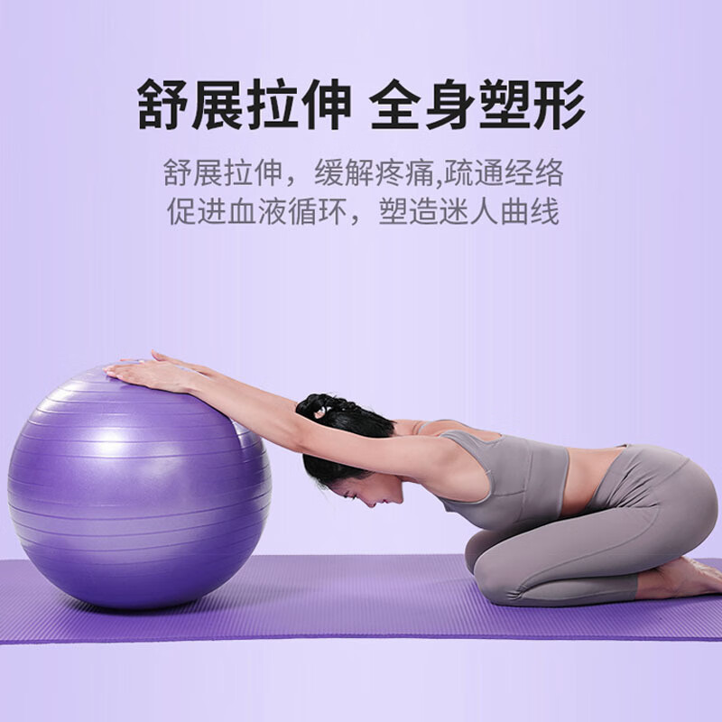 瑜伽球普拉提球健身球pvc加厚孕妇助产大龙球儿童感统训练平衡球 紫色瑜伽球【气塞+气拔+充气筒】 （1个球装） 55cm 光面款【600g】