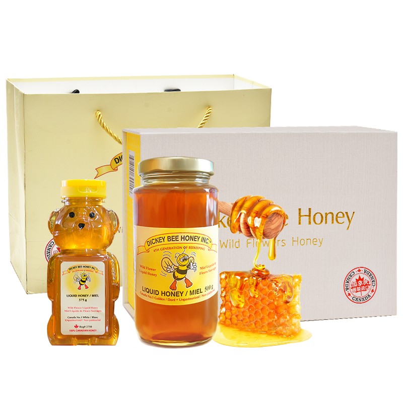 进口蜂蜜暖胃成熟原蜜原装加拿大Dickey Bee野花蜜礼盒装