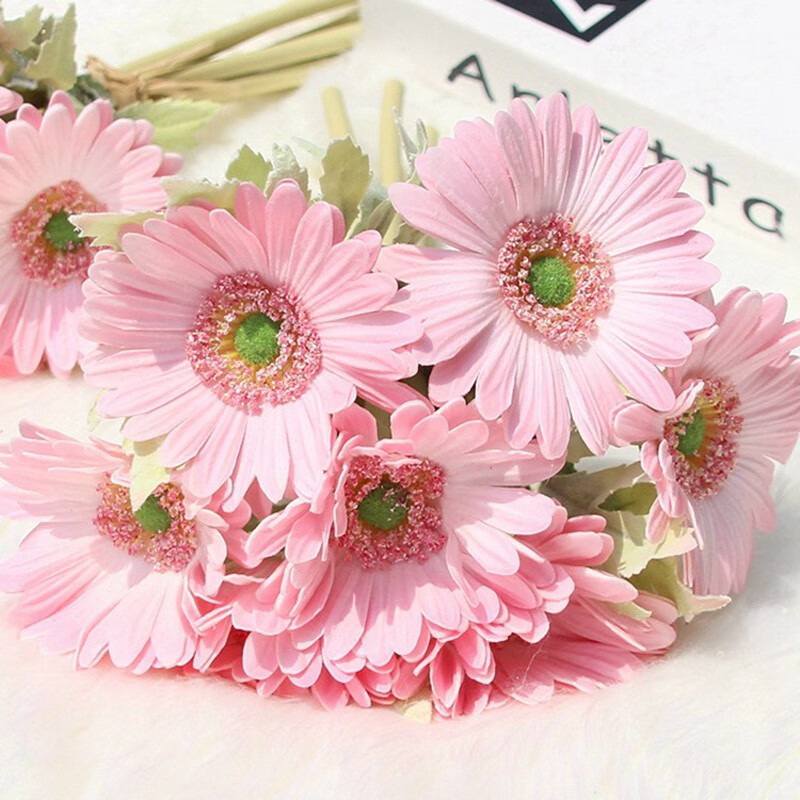 粉色 7头把束非洲菊花