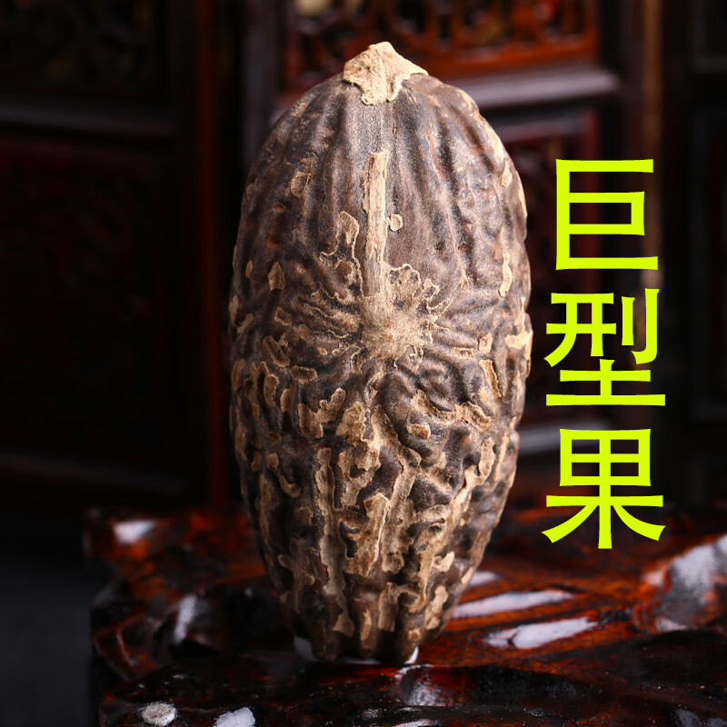 珠佩丽菩提果原果精选千眼菩提原料 菩提子大果胖果老果原仔高密度