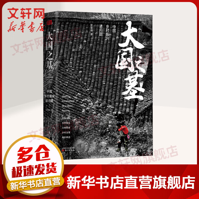 大国之基 中国乡村振兴诸问题 2019中国好书