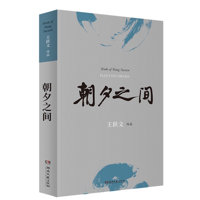 【包邮】朝夕之间 王跃文 现当代文学小说 官场小说 现实主义长篇小说 名家作品 中国现当代文学书籍