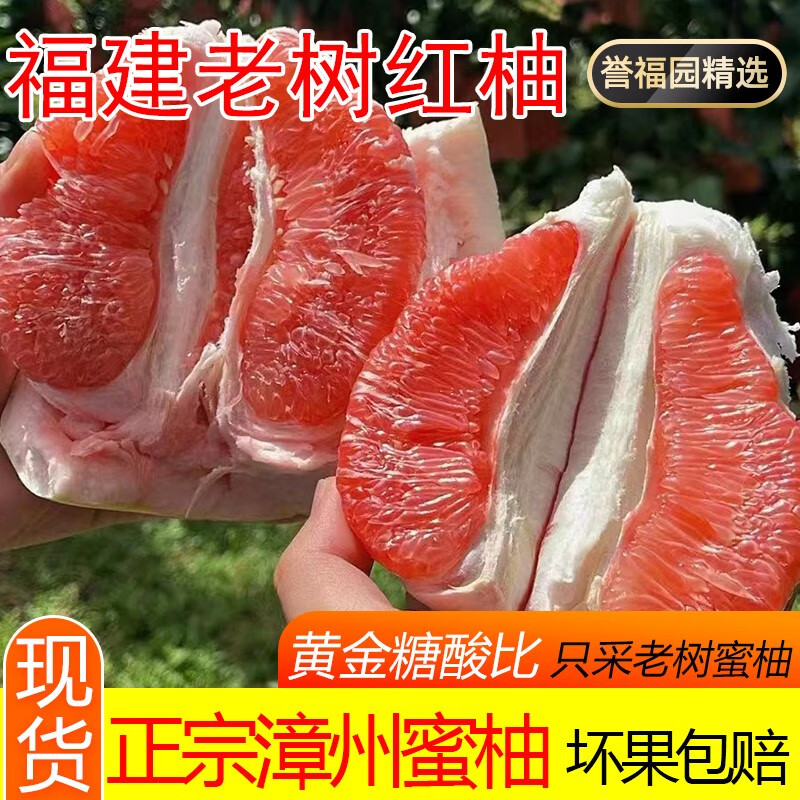 誉福园琯溪平和蜜柚红心蜜柚红肉头茬蜜柚当季现采 红柚4.5-5斤丨单果800g+