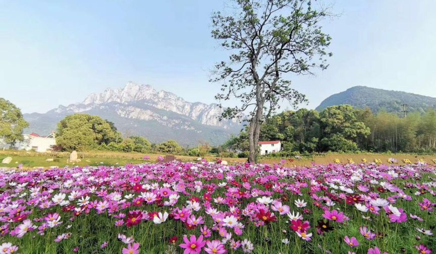 庐山·鄱湖湾魔幻森林门票亲子票1大1小 庐山·鄱湖湾景区 景点门票
