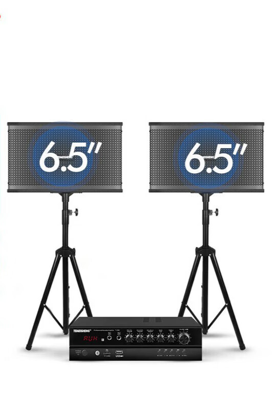 (temeisheng)kt-450/6-6/10-10家庭点歌机一体卡拉ok家用k歌话筒设备