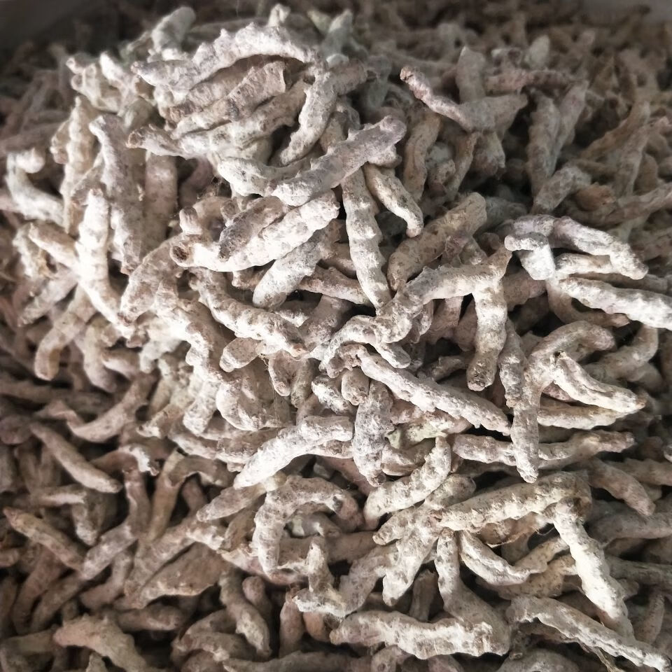 白僵蚕 中药材 白僵虫天虫白僵蚕粉 炒僵蚕 僵蚕僵虫僵蚕粉 白僵蚕