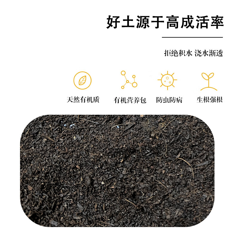 火龙果专用土火龙果专用营养土营养土泥土种植土种树专用花土 火龙果精配专用土[ 58斤 ]