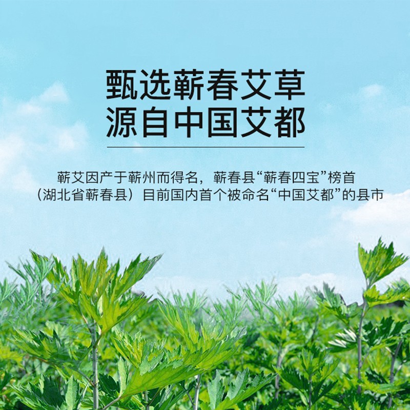 护荐(HUJIAN) 护腰保暖艾草自发热腰带 腰椎间盘运动暖腹腰围男女士秋冬 艾草养护护腰大码(150-220斤)