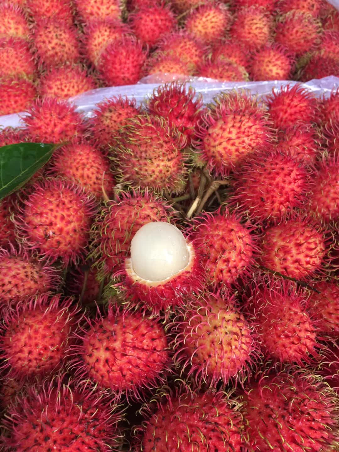 贵妃鲜现货海南红毛丹5斤整箱现摘新鲜水果毛荔枝孕妇当季水果甜 1斤