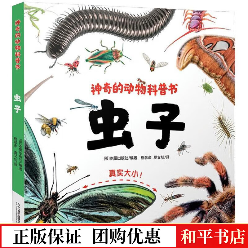 虫子(精)/神奇的动物科普书冰屋出版社二十一世纪出版社集团有限公司