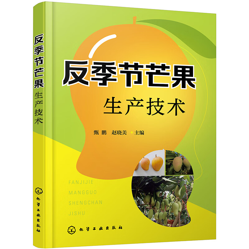 反季节芒果生产技术