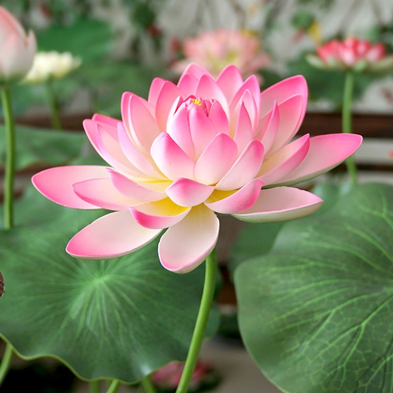 仿真带杆荷花荷叶供佛莲花舞蹈影视拍摄道具水池舞台造景装饰假荷花