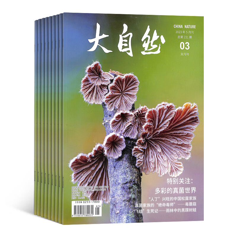 大自然杂志 2023年10月起订 1年共6期  杂志铺 人与自然水域生灵哺乳家园两爬探索植物世界自然