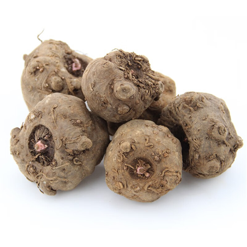 花姬 云南魔芋种子花魔芋种籽5斤高产二代魔芋种球