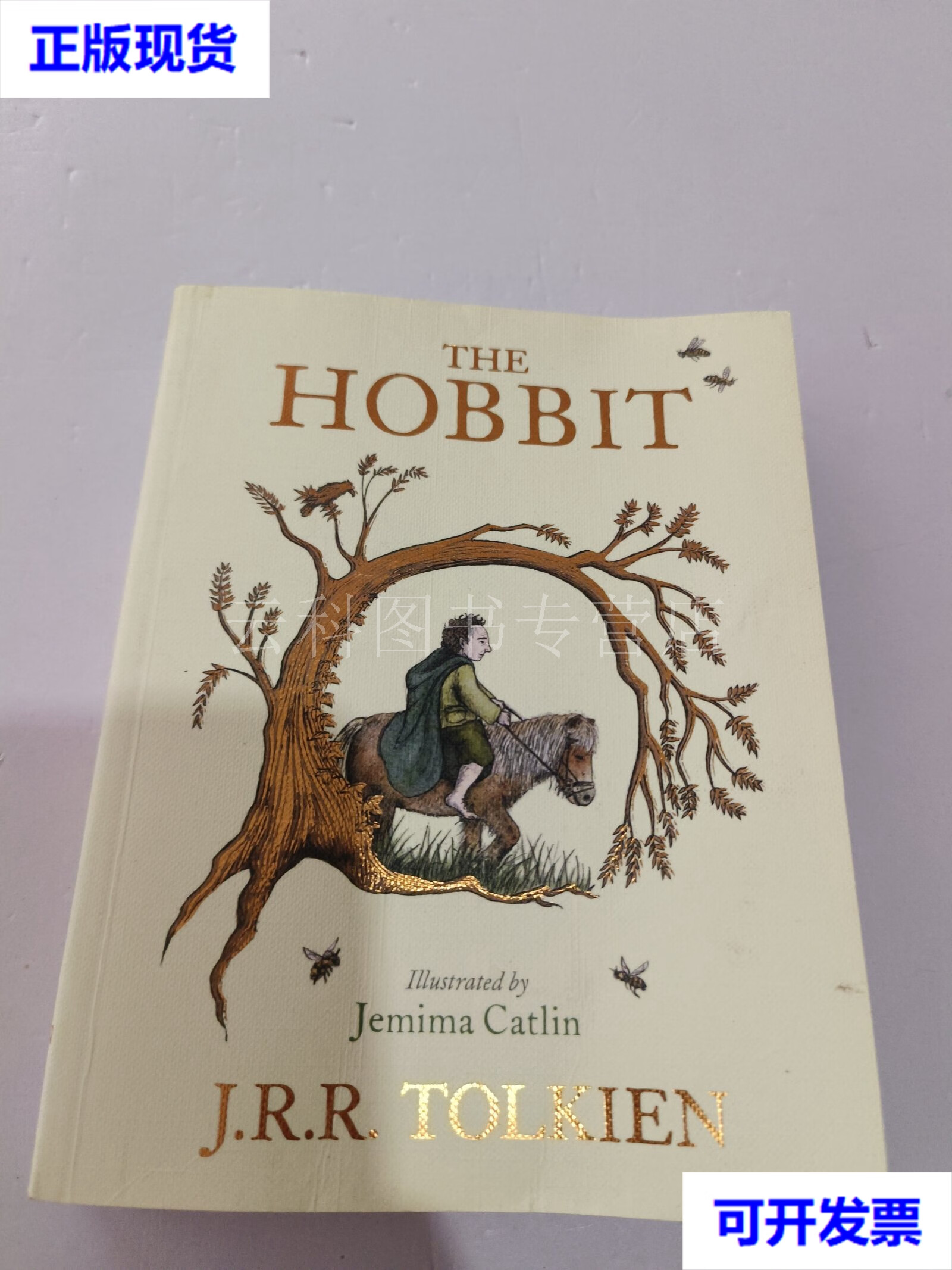 the colour illustrated hobbit 霍比特人托尔金作品英文 二手书