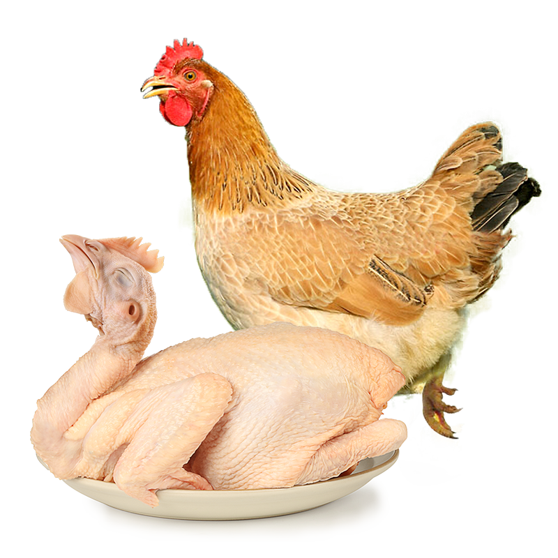 ���Ϲ������Ƽ�2.4�� �䶳 100���䶳 ũ�����������ߵؼ� ����ʳ�� 47.9Ԫ