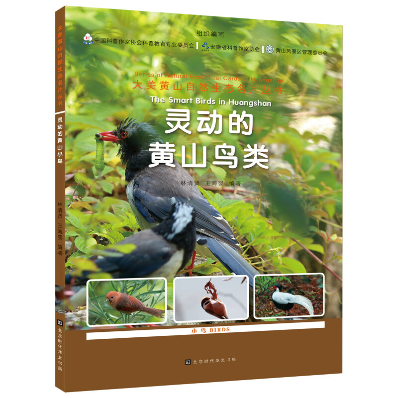 灵动的黄山鸟类