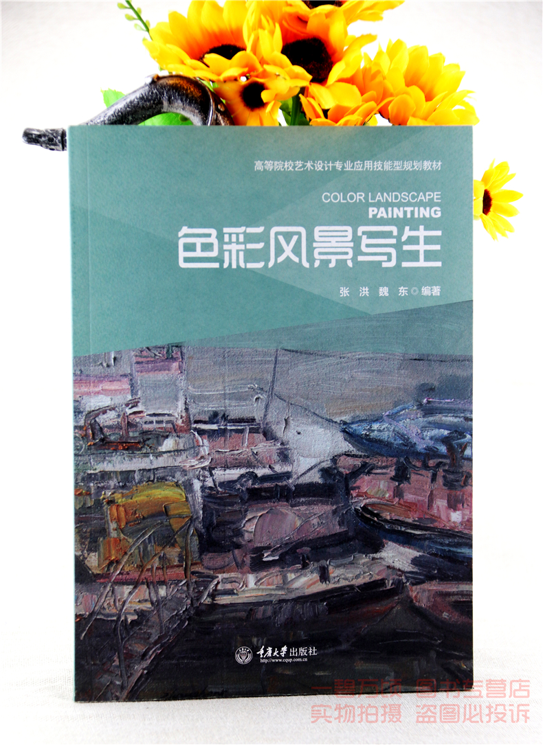正版色彩风景写生张洪魏东重庆大学出版社考研大中专全新教材9787562496410