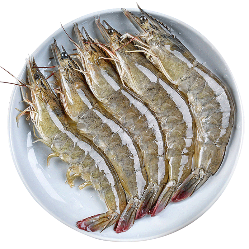 ڲڴϺϺʻ䶳ϺΧϺ4ҹտʳ 17-19cmϺ 4()  50-66ֻ 462Ԫ4(115.5Ԫ/)