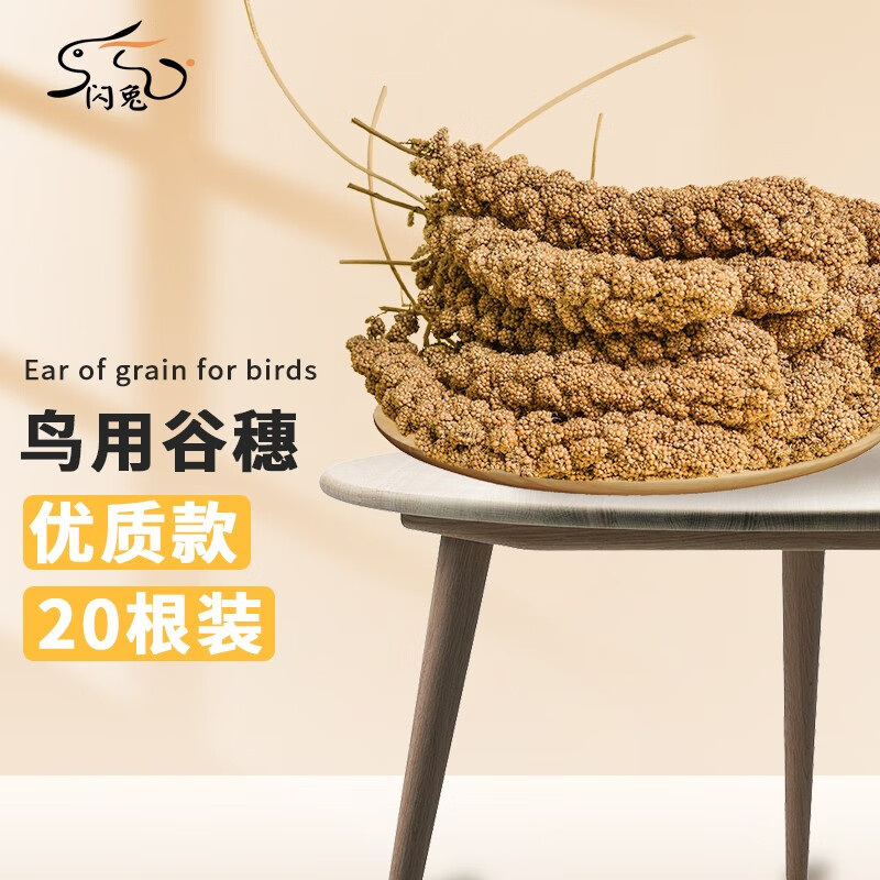 如何查询鸟类用品历史价格|鸟类用品价格走势图