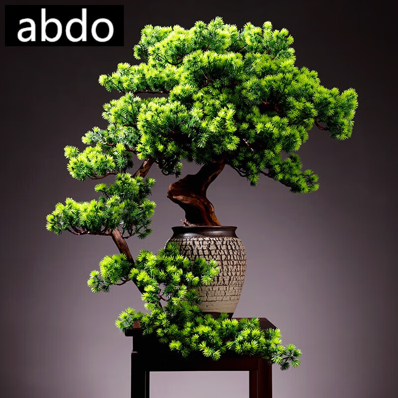 盆景玄关植物盆栽室内桌面绿植花卉装饰品摆设 裂盆-[右飘款]大型翠柏