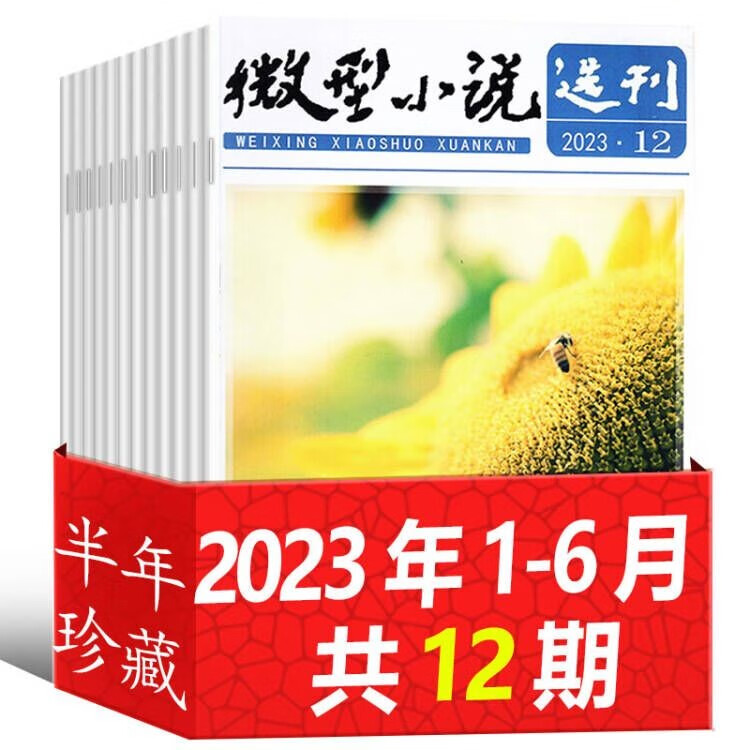 7月新【全年/半年订阅】微型小说选刊杂志