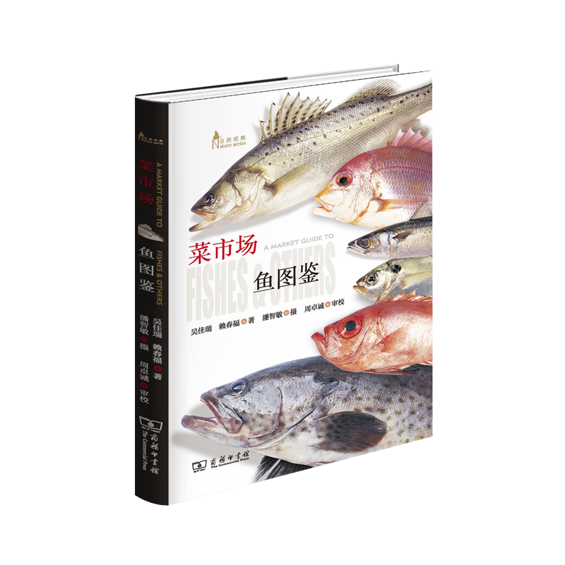 《自然观察·菜市场鱼图鉴》
