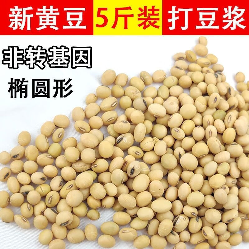 镜之月正宗早熟大粒黄豆老品种新黄豆农家自产打豆浆椭圆大豆 特大粒