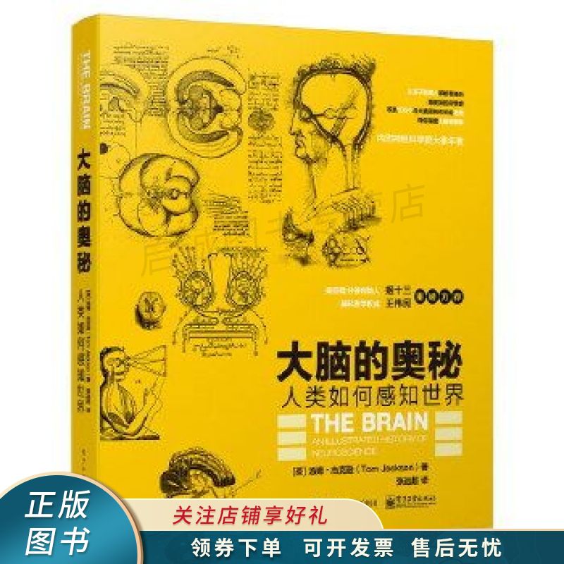 大脑的奥秘:人类如何感知世界 张远超 【稀缺图书,放心购买】
