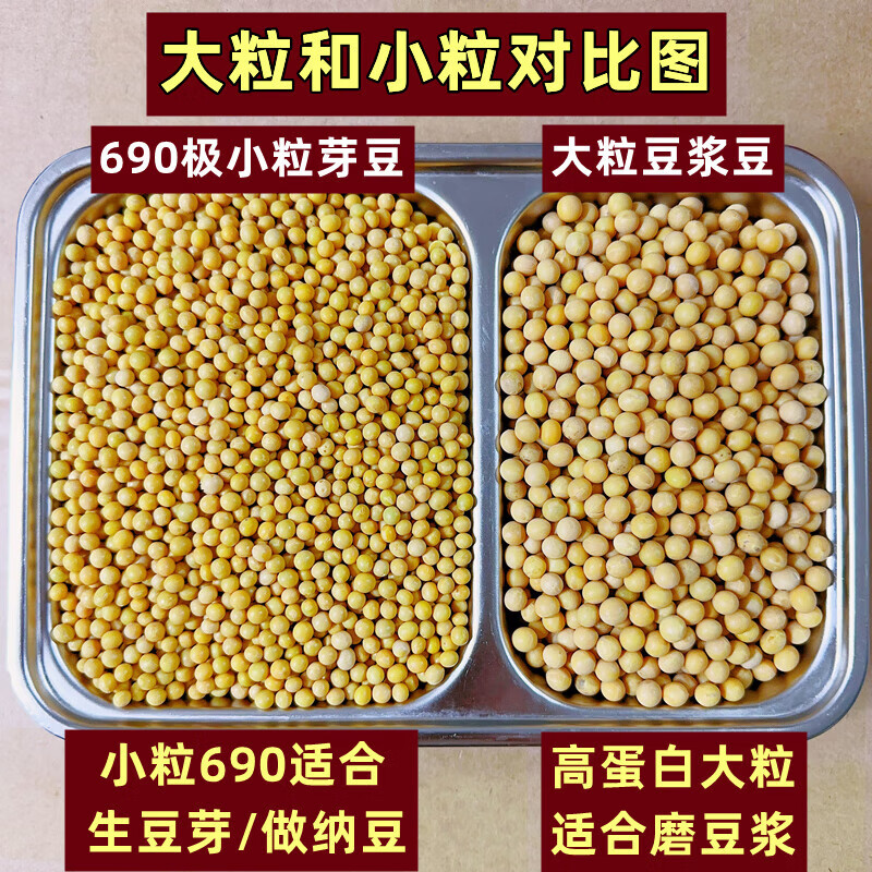 花仙笙(gearss)东北新黄豆发黄豆芽豆打豆浆专用孕妇5斤装 大粒豆浆豆