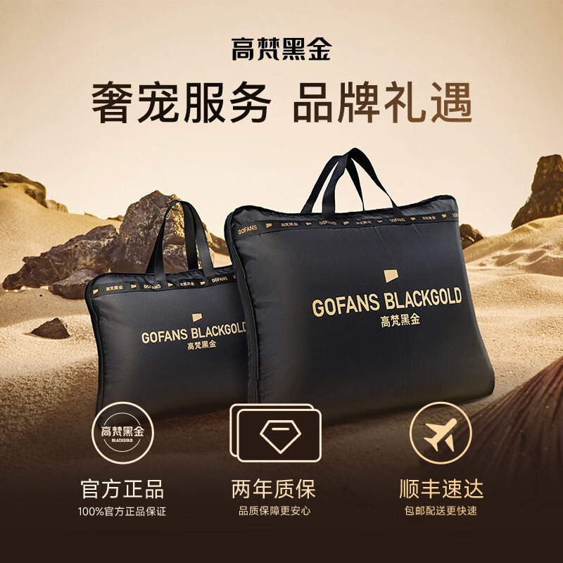 高梵黑金鹅绒服机能3.0六格男女同款冬装长款厚羽绒服 黑色 S