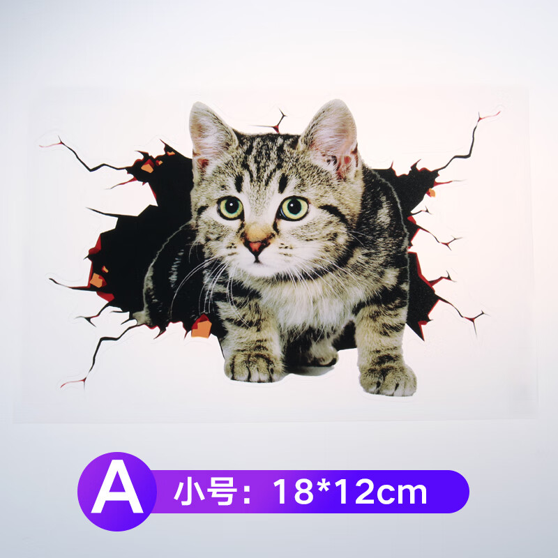 3d正版大花猫图库图片