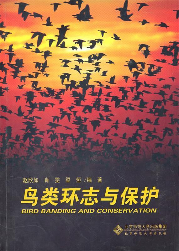鸟类环志与保护 赵欣如,肖雯,梁烜编著 9787303110773【正版图书】
