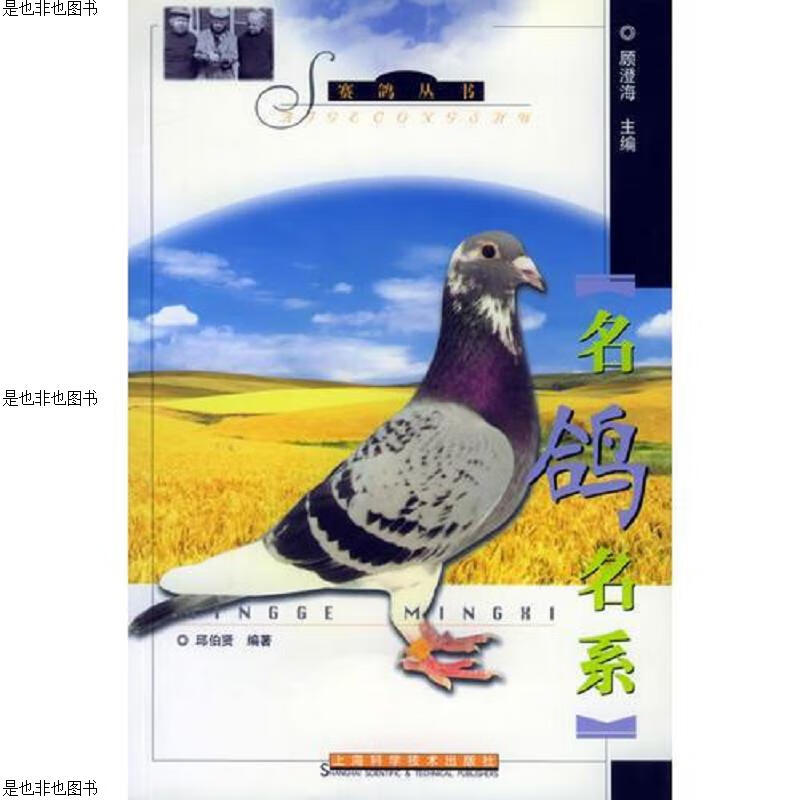 名鸽名系——赛鸽丛书