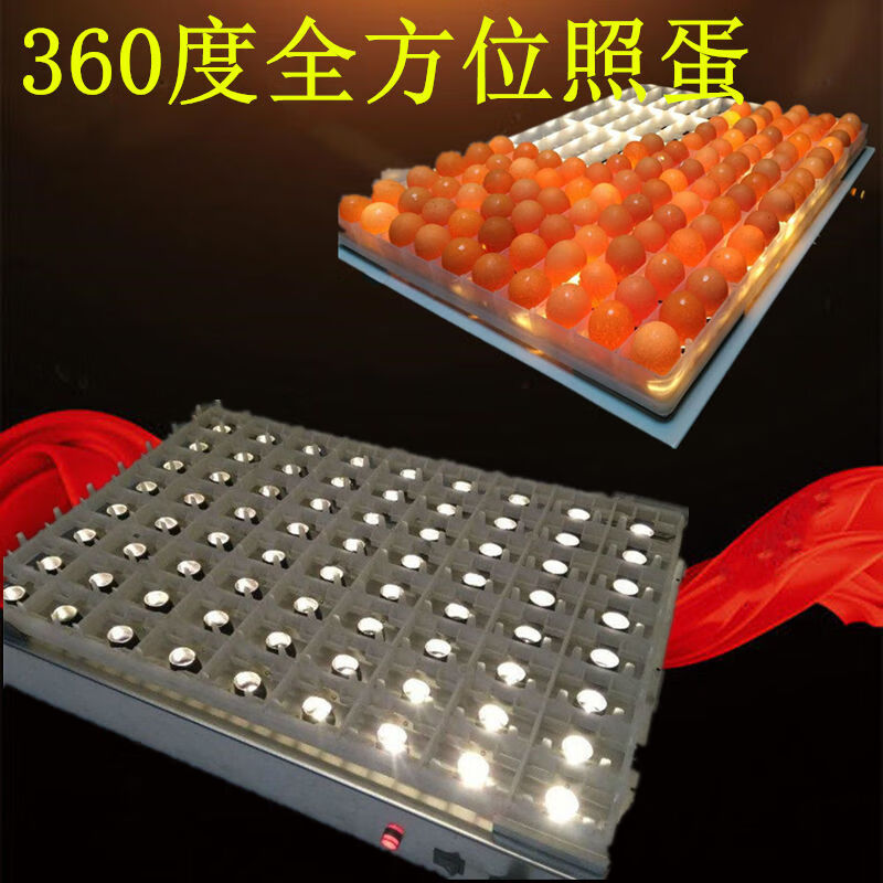 家恒宝150枚整盘照蛋器 176枚照蛋灯 大型照蛋工具 大型孵化机 孵化器