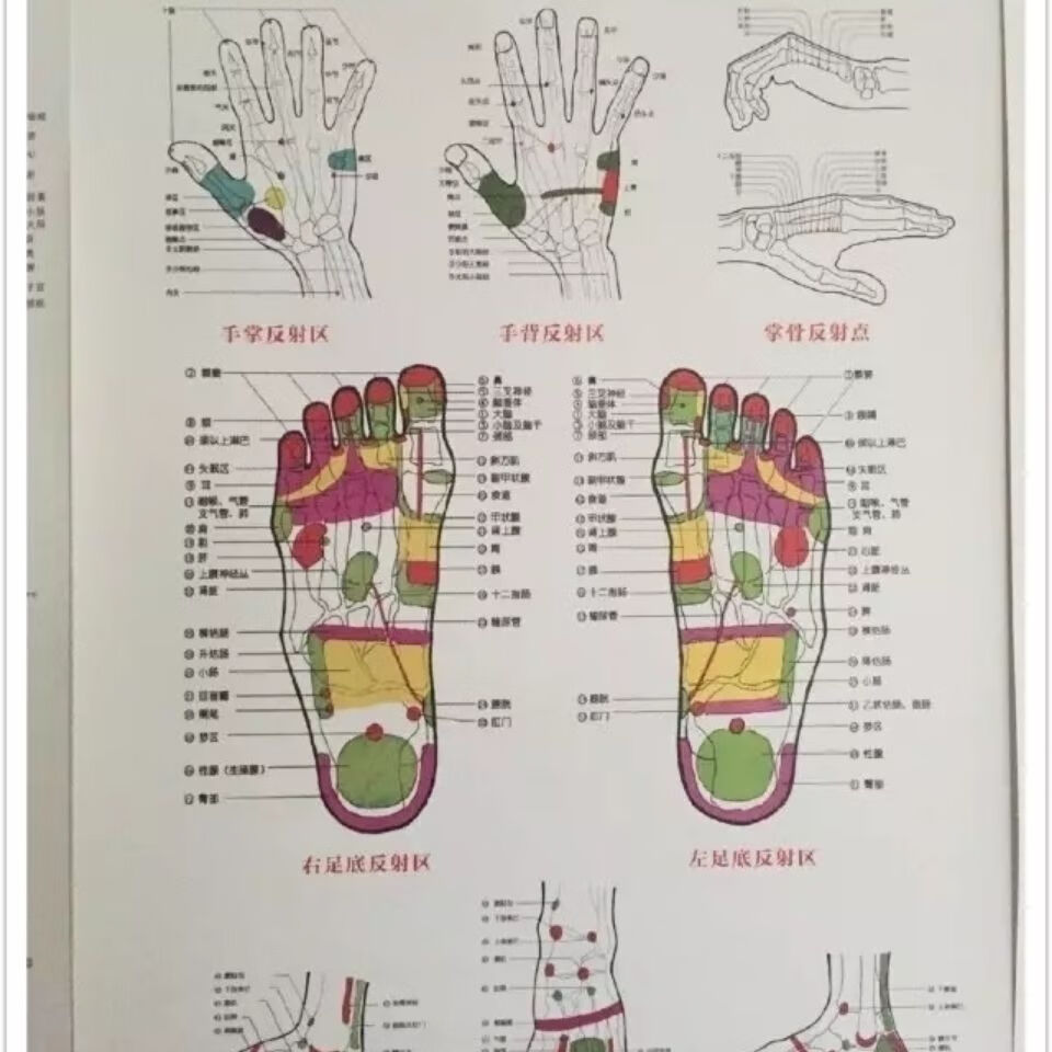医学书手到病除术 神奇反射疗法 修订版 