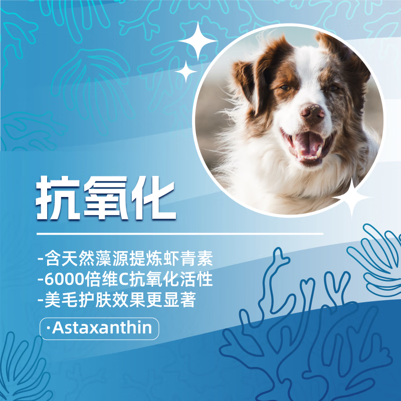 中鲨宠物虾青素鱼油胶囊美毛防掉脱宠物狗滋养皮肤深海鱼油猫犬通用 虾青素鱼油 20粒/盒装