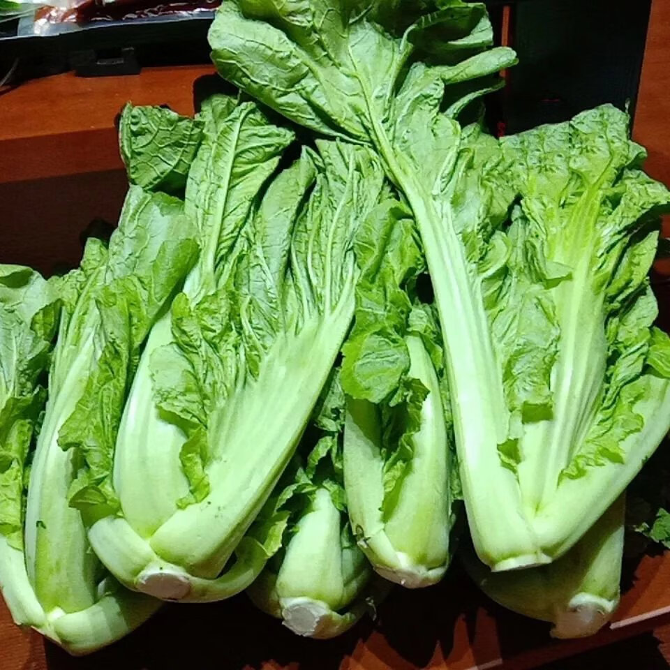 新鲜蔬菜芥菜青菜贵州现摘宽邦大叶青菜苦菜可做酸菜腌菜农家自种 3斤