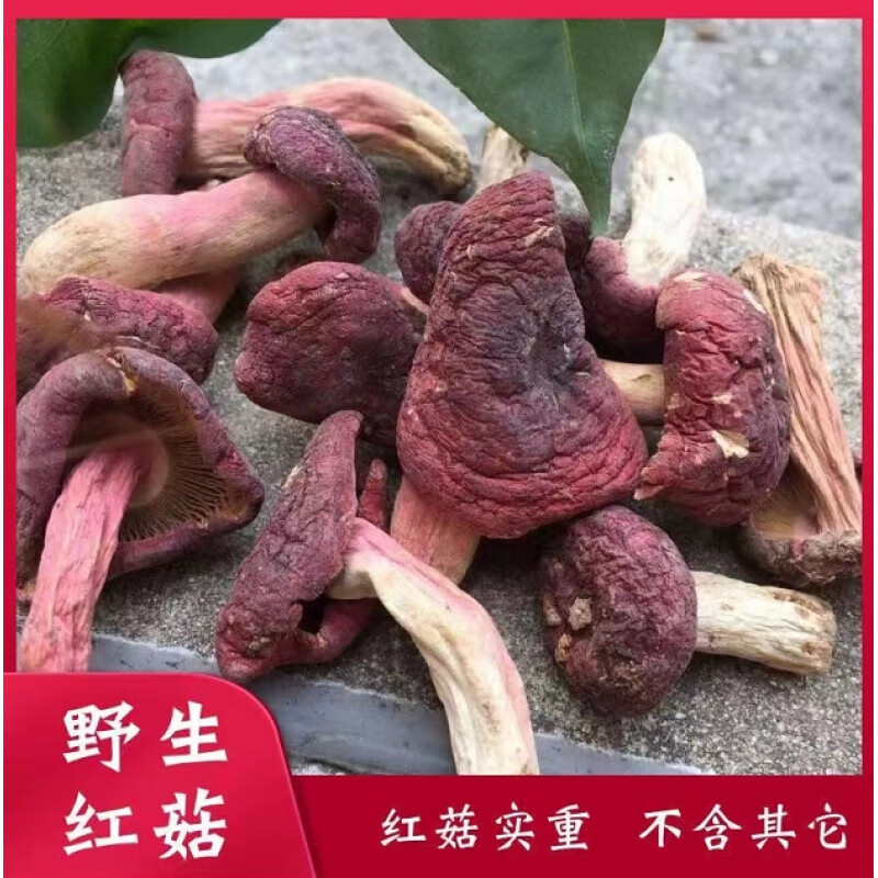王二狗红菇干货福建武夷山红菇高山红椎菌香菇菌菇红蘑菇月子菇 250g