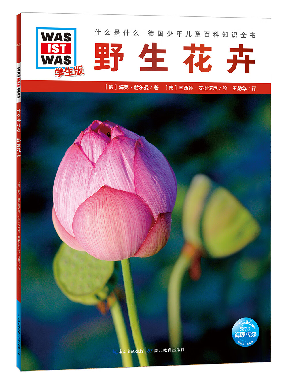 什么是什么·学生版（第2辑）：野生花卉（平装软皮封面）德国少年儿童百科知识全书