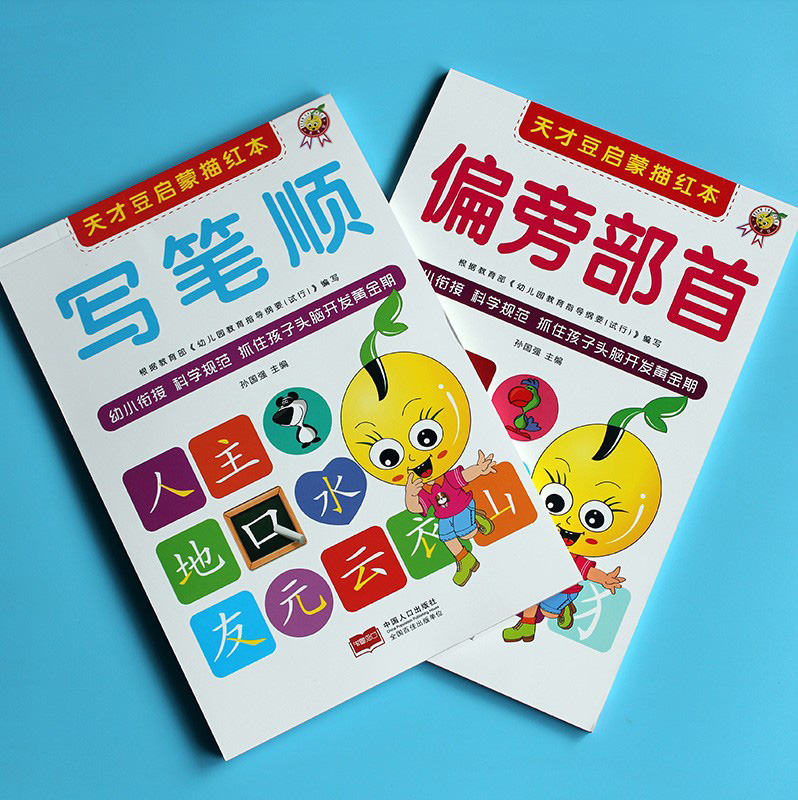 汉字偏旁部首笔顺笔画描红本大全练字帖幼小衔接一日一练幼儿园中班大班练习册学前班升一年级衔接全套教材幼 全套教材幼