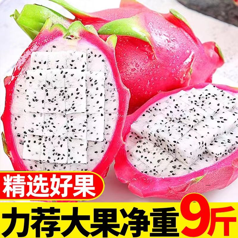 駐晨（ZHUCHEN）【精選】熱帶新鮮白心火龍果9斤裝 白肉火龍果一整箱應季水果 白心火龍果 中果 1500g