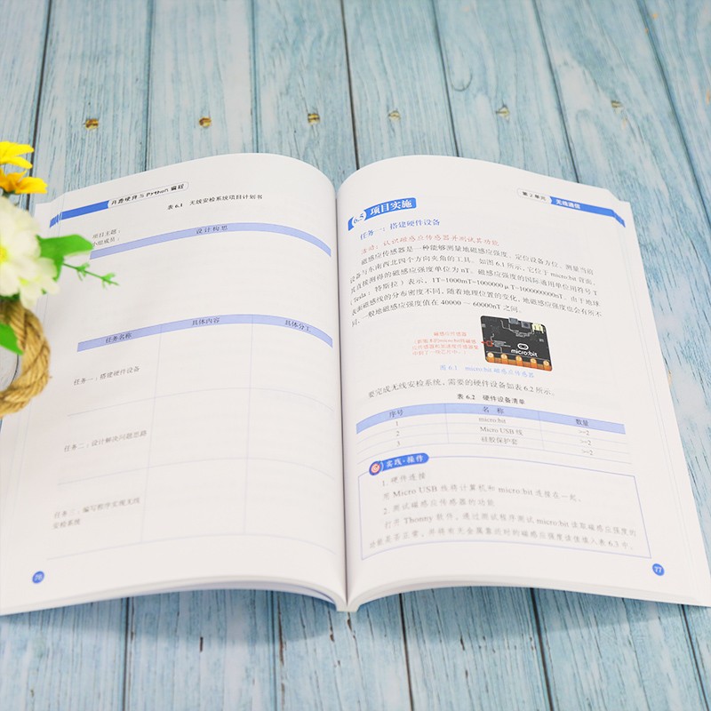 开源硬件与Python编程（中小学人工智能普及教育丛书）