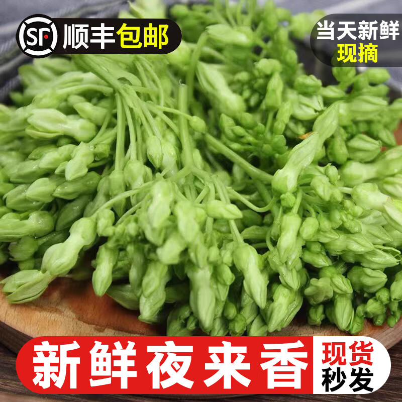文枝夜来香新鲜蔬菜夜香花冻品月见草煲汤煎饼农庄西餐装饰食材 冷冻