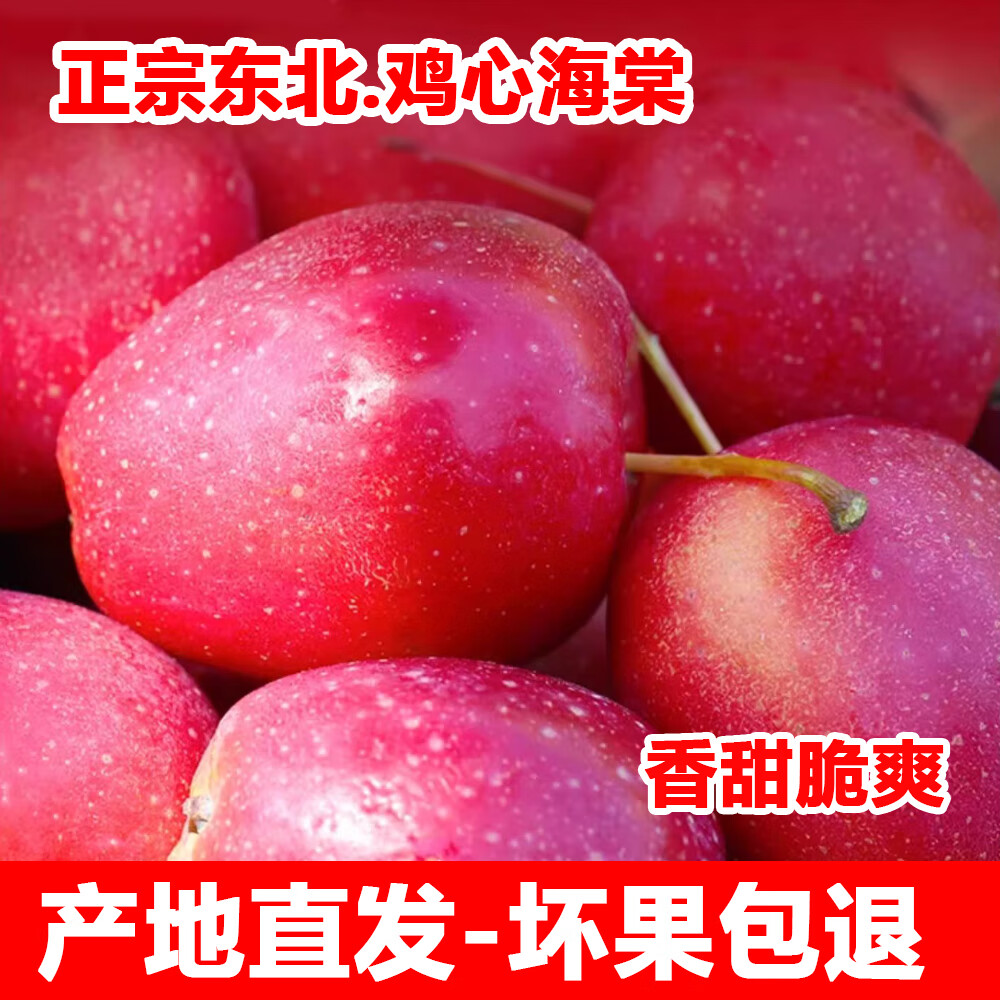 正宗东北鸡心海棠果小苹果应季新鲜孕妇水果海棠产地直发 鸡心果-3斤中果/33-39个