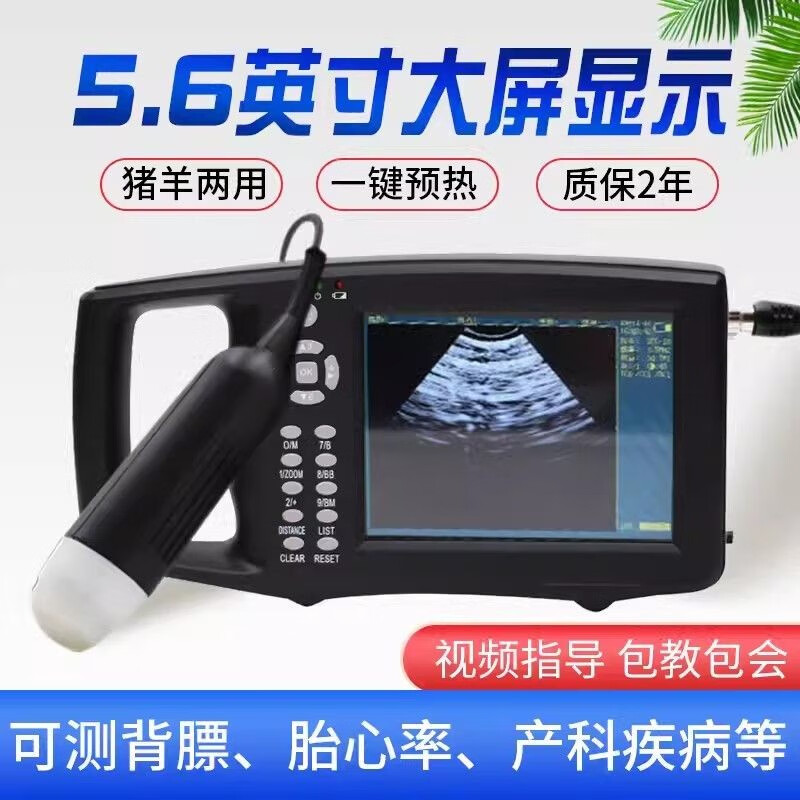 悦牧 便携式兽用B超机猪用彩超检测仪猪牛羊马测孕仪家用可测背膘高清 亮黑色高清B超-机械探头猪羊两用属于什么档次？